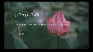 噶瑪巴唱誦 D2-2 三蘊經 , The Sutra in Three Sections, Chanted by Karmapa