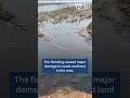 devastating flooding in utah kills livestock