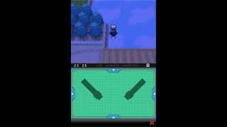 Pokémon Black and White - Disappearing Rare Candy glitch