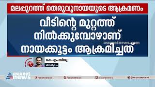 മലപ്പുറം മമ്പാട്  തെരുവ് നായ ആക്രമണത്തിൽ എട്ട് വയസ്സുകാരന് പരിക്ക് | Malappuram | Stray dog attack