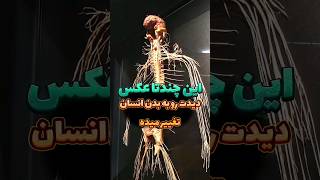 این چندتا عکس دیدت  به بدن انسان رو تغییر میده !! 🩻