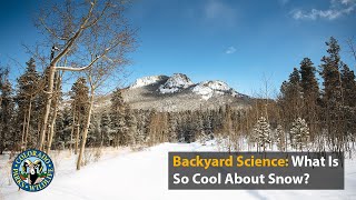 Backyard Science: What Is So Cool About Snow?