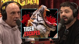 Fatal Tiger Attack Story “CRAZY” | Joe Rogan