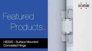 Surface Mounted Concealed HES2S Hinge
