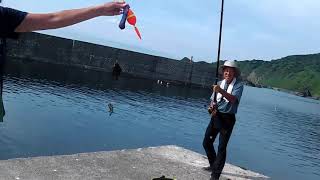 釣れても釣れなくても（魚がウジャウジャ）粟島