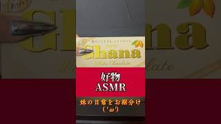 溶けかかっておる( 'ω')#asmr #shorts #Ghana #lotte #ホワイトチョコ #板チョコ #大好物 #ブラッキー #美味しい