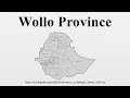 wollo province