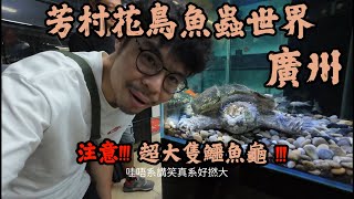 [大鄉里出城鳩噏VLOG] 廣州芳村花鳥魚蟲新世界 !!! 睇爬蟲睇魚睇雀仔