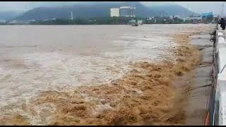 Vellore palar river heavy water flow - பாலாற்றில் வரலாறு காணாத வெள்ளம்(1)