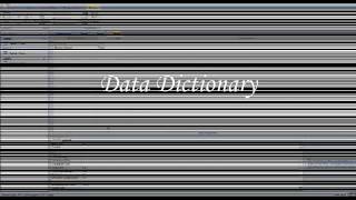 Schema & Data Dictionary
