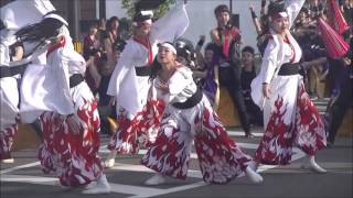 蓮雫＊銭形よさこい2016＊青柳会場