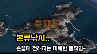 추자도 밖미역섬 다이아몬드 감성돔