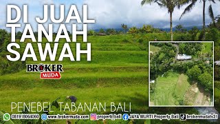 DIJUAL TANAH SAWAH 70 ARE COCOK INVESTASI || VIEW GUNUNG