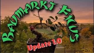 Der Baumarkt Ficus Update 1.0