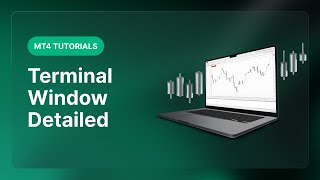 XM.COM - MT4 Tutorials - Terminal Window Detailed