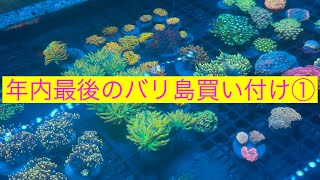 年内最後のバリ島直接買い付け①