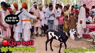 ਖੁੱਲ੍ਹੀ ਬੋਲੀ ਪਿਓਰ ਬੱਕਰੀਆਂ ਲਈ ਚ ਫਸੇ ਸਿੰਗ #live_boli open boli me pure goats @FarmingbabaPunjab