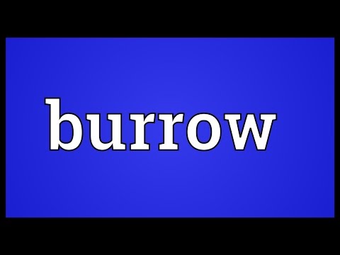 What is a sentence for burrowed?