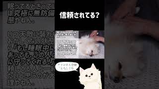 実は犬は一緒に寝たい人を選んでいます。 #shorts