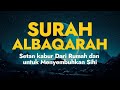 SURAH AL BAQARA   Setan kabur Dari Rumah dan untuk Menyembuhkan Sihir   Penenang Hati dan Pikiran