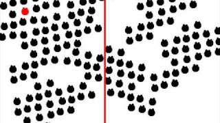 Calculus Visualization: Binary Search