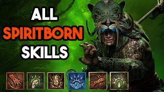 Diablo 4 -  Spiritborn All Skills Showcase