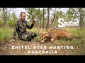 Hunting Chital Deer In Australia - Spotted Safaris!