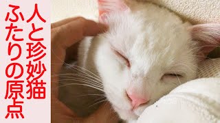 珍妙ウチューネコ、共に生きてきた約8年の原点 My spacecat like a baby