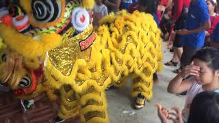 Kuala Penyu Lion Dance #STK and GSDJ.