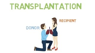 Transplantation: Process to outcomes