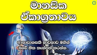 මානසික ඒකාග්‍රතාවය ඇති කරගන්න - Meditation | Shanethya TV