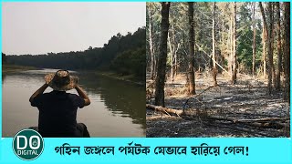 দেশের চর তুফানিয়া দ্বীপের গহিন জঙ্গলে হারিয়ে গেল এক পর্যটক, অত:পর....