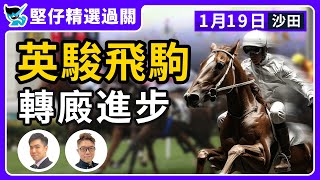 【堅仔精選過關】(1月19日) 英駿飛駒 轉廄進步｜#賽馬貼士​​​​​​​｜#賽馬賠率​​​​​​​​​​​​​​​​​​​｜#賽馬｜1月22賽日開班，現正火速報名！