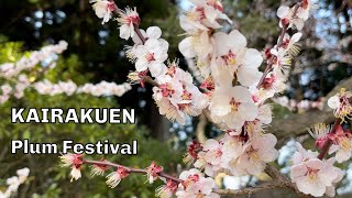 水戸偕楽園の梅まつり2023/ Mito Kairakuen Plum Festival