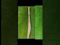 ca 20k gold bat one of the best gun ever weight 2.8lbz edge 42 mm grains 10 cricket cricketbat ba