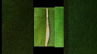 CA 20k GOLD BAT ONE OF THE BEST GUN EVER WEIGHT 2.8lbz EDGE 42 MM GRAINS 10 #cricket #cricketbat #ba