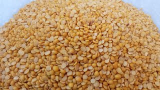 కందిపప్పు /Red Gram Benefits/Toor Dal Health Benefits\u0026Uses/ Kandi Pappu Benefits/Toor Dal Nutritions