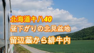 北海道キハ40 石北本線車窓  留辺蘂から北見,  緋牛内  昼下がりの北見盆地を行く 北海道＆東日本パスその73