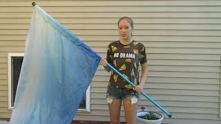 Flag Basics