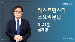 01-28 오늘의 말씀｜소요리문답 제41문｜십계명｜주호영 목사