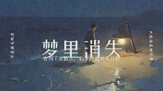 《梦里消失》 Rain （回忆慢慢腐坏，看回你的照片不愿接受现实，只能活在回忆） #热门歌曲 #music #sad