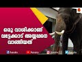 വട്ടേക്കാട് അയ്യപ്പൻ ഇങ്ങനെയാണ് ഉട്ടോളി അയ്യപ്പൻ ആയത് | Elephant Stories | Kerala Elephants