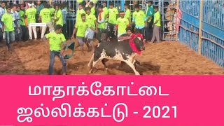 jallikattu | madhakottai jallikattu 2021 |NEW VIDEO| thanjavur |மாதாகோட்டை ஜல்லிகட்டு|