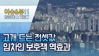 전세난 심화…임차인 보호책이 전세난민 양산 / 머니투데이방송 (뉴스)