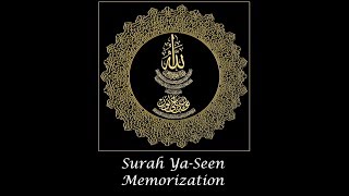 Surah Ya-Seen Memorization (part 6) verses 26-30