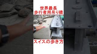 世界最長（当時）の歩行者用吊り橋 #shorts #Randa #吊り橋