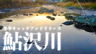 【渓流釣り】放流があったと聞いて鮎沢川に行ってみたら【静岡・鮎沢川・冬季キャッチアンドリリース】