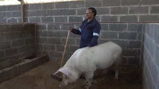 Meet Constance: Math Teacher and Pig Farmer from Lesotho