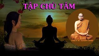 Tập Chú Tâm/ Thiền Sư Ajahn Chah - Thiền Đạo