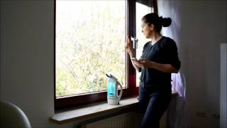 Leifheit  Fenstersauger Dry & Clean im Test